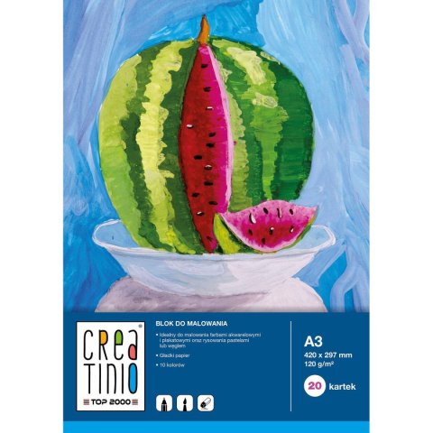 Blok artystyczny Creatinio A3 120gg 20k Top 2000 (400079859)