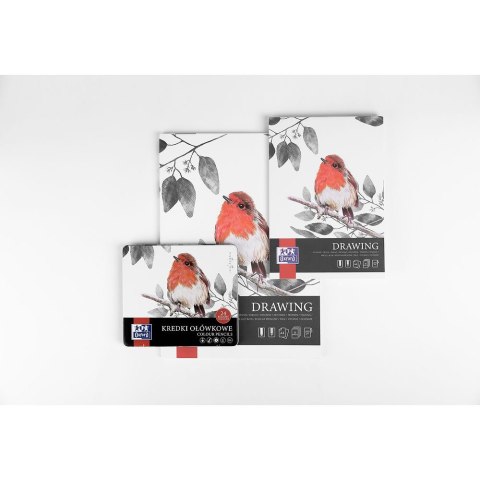 Kredki ołówkowe metal box 24 kol. Oxford (400174560)