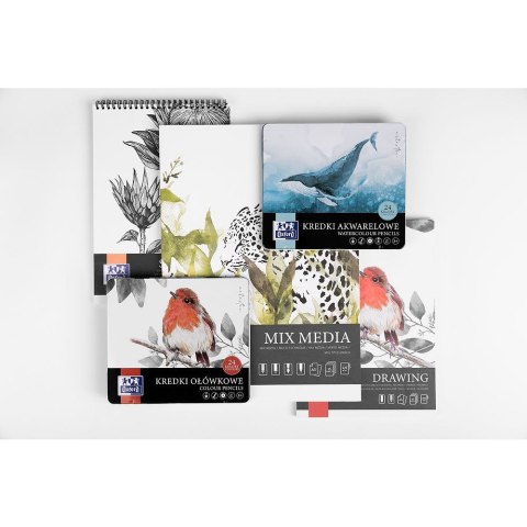 Kredki ołówkowe metal box 24 kol. Oxford (400174560)