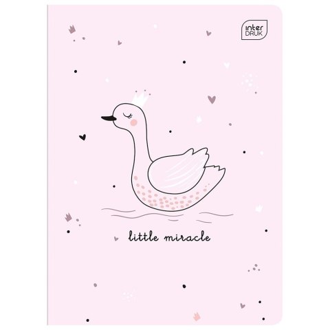 Zeszyt PICCOLO A5 16k. 70g linia kolor Interdruk