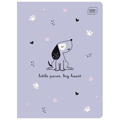 Zeszyt PICCOLO A5 16k. 70g linia kolor Interdruk