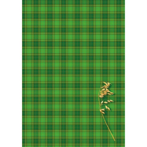 Brulion A4 200k. krata Kreska