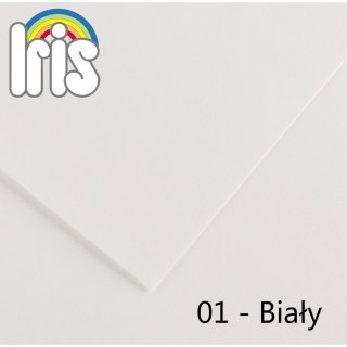 Brystol IRIS biały 185g 25k [mm:] 500x650 Canson (200040218)