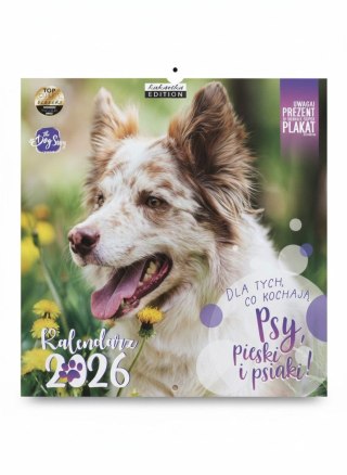 Kalendarz ścienny classic PSY 300mm x 300mm Kukartka