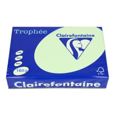 Papier kolorowy kolorowy A4 zielony 160g Trophee (xca42635)
