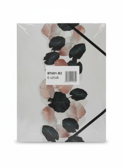 Teczka kartonowa na gumkę LIŚCIE A4 mix Tetis (BT601-B2(96))