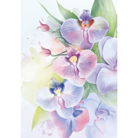 Brulion A6 60k. krata Kreska