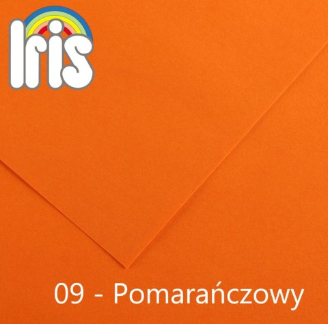 Brystol Iris 09 A3 pomarańczowy 185g 50k [mm:] 297x420 Canson (200040188)