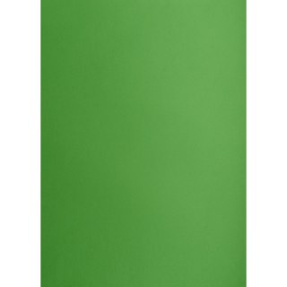 Brystol zielony B1 Zielony 225g 1k Creatinio (400150268)