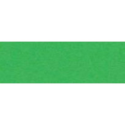 Papier kolorowy Joy A4 zielony 160g Happy Color (2130-5)