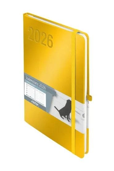 Kalendarz książkowy (terminarz) 2026 MINIMALIZM TNS A5 Antra (złoty)