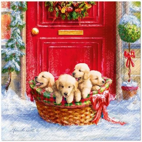 Serwetki Lunch mix bibuła [mm:] 330x330 Paw (SDL236100)