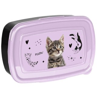 Śniadaniówka Kot Paso (PP25CE-3022)