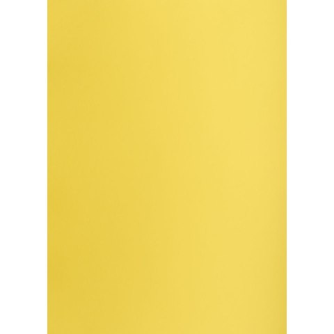 Brystol A1 żółty 160g 25k [mm:] 610x860 Creatinio (400149553)