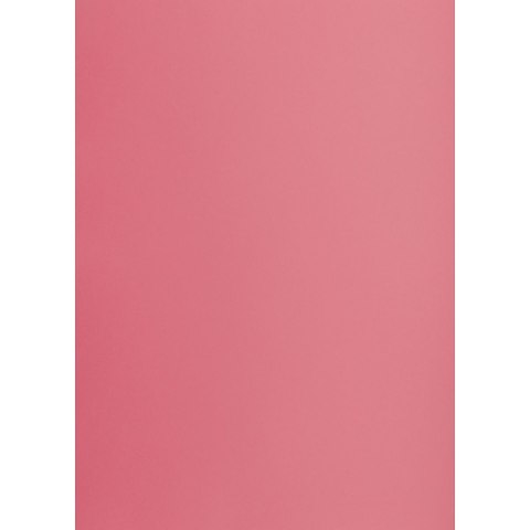 Brystol A3 różowy 160g 25k [mm:] 297x420 TOP-2000 (400150232)