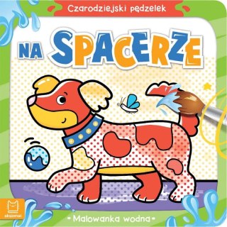Książeczka edukacyjna Czarodziejski pędzelek. Na spacerze. Malowanka wodna Aksjomat