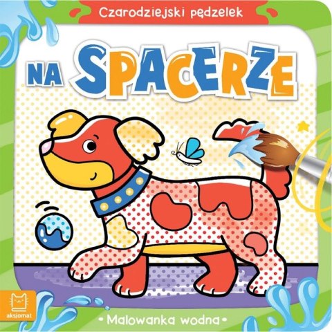 Książeczka edukacyjna Czarodziejski pędzelek. Na spacerze. Malowanka wodna Aksjomat