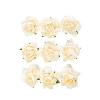 Kwiaty róże Argo (252040)