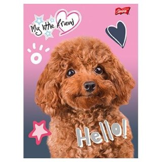 Zeszyt MY LITTLE FRIEND A5 16k. krata Unipap