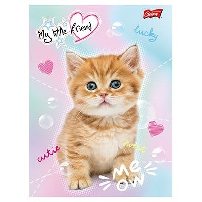 Zeszyt MY LITTLE FRIEND A5 16k. krata Unipap