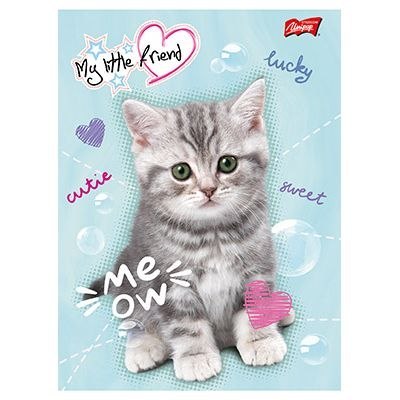 Zeszyt MY LITTLE FRIEND A5 16k. krata Unipap