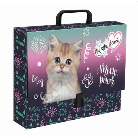 Teczka kartonowa na zatrzask My Little Friend Kitty Party A4 mix Unipap