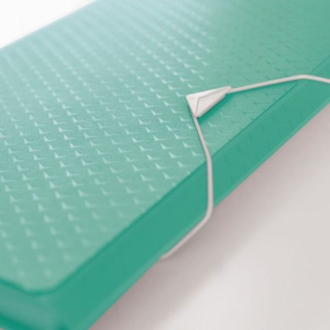 Teczka z przegródkami Colour Breeze A4 kolor: zielony 6 przegródek Esselte (626253)