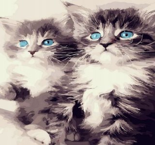 Zestaw kreatywny malowanie po numerach - kociaki 40x50cm Norimpex (NO-1008918)