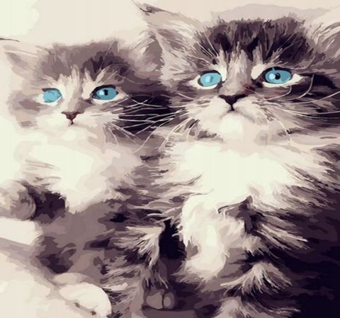 Zestaw kreatywny malowanie po numerach - kociaki 40x50cm Norimpex (NO-1008918)