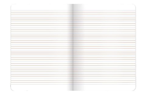 Zeszyt OCEAN A5 16k. 70g podwójna linia kolor Top 2000 (400182342)