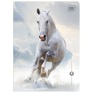 Zeszyt WILD HORSES A5 32k. 70g krata Interdruk