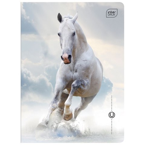 Zeszyt WILD HORSES A5 32k. 70g krata Interdruk