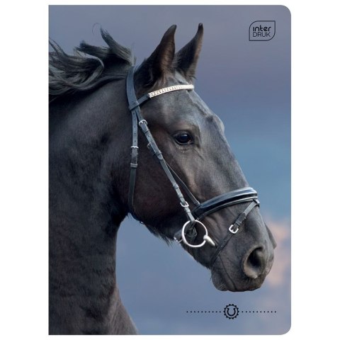 Zeszyt WILD HORSES A5 32k. 70g krata Interdruk
