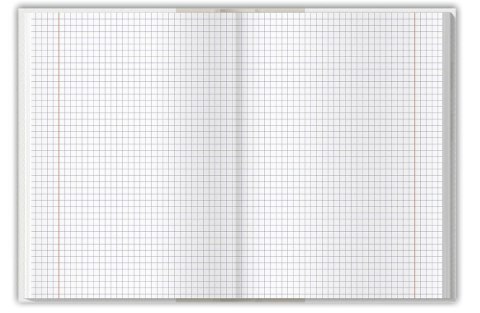 Brulion colors niebieski A4 96k. 70g krata Top 2000 (400169205)