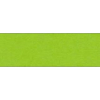 Papier kolorowy Joy A4 zielony jasny 160g Happy Color (2130-50)