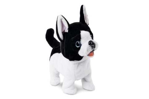 Pluszak interaktywny Piesek chodzący na smyczy Artyk (169120)