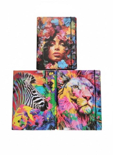 Teczka kartonowa na gumkę 4cm Afryka B4 mix VauPe (310/97)