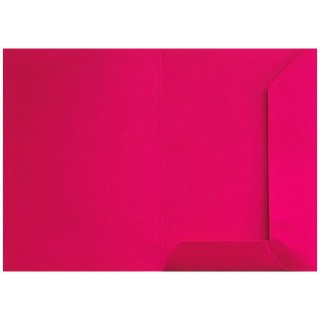 Teczka ofertowa kosmiczny róż A4 kolor: różowa Bigo (1041)