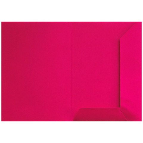 Teczka ofertowa kosmiczny róż A4 kolor: różowa Bigo (1041)