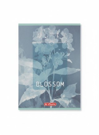 Zeszyt Blossom A5 60k. 70g kratka Herlitz (400206384)