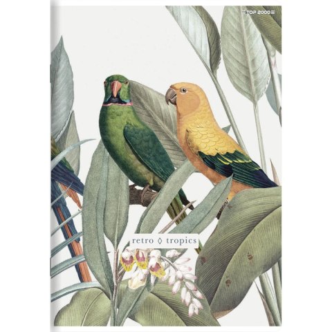 Zeszyt megamix A5 60k. 70g linia Top 2000 (400168850)