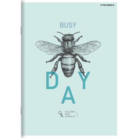 Zeszyt megamix A5 60k. 70g linia Top 2000 (400168850)