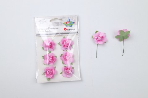 Ozdoba papierowa Craft-Fun Series Titanum (25YX0902-12)