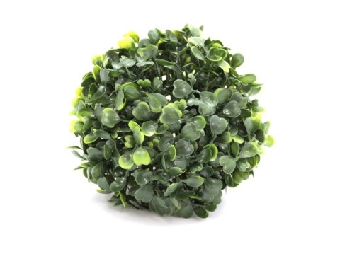 Kwiaty kula bukszpan 21 cm One Dollar (395473)