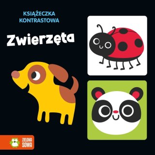 Książka dla dzieci Zwierzęta Zielona Sowa