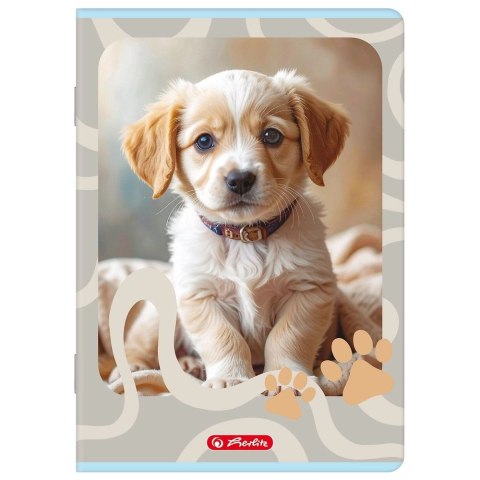 Zeszyt Animals A5 32k. 70g linia cm Herlitz (400206383)