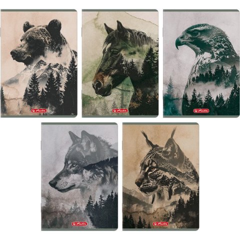 Zeszyt WILD A5 60k. 70g linia cm Herlitz (400206389)