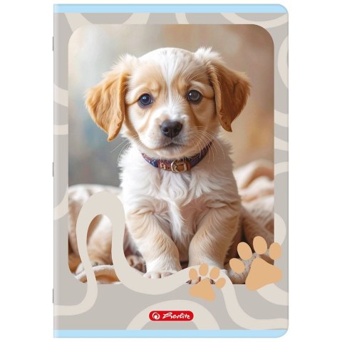 Zeszyt ANIMALS A4 32k. 70g linia podwójna kolorowa Herlitz (400206431)