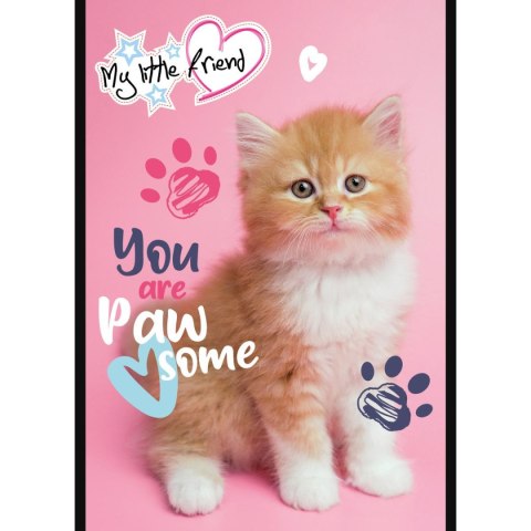 Notes (notatnik) MY LITTLE FRIEND A6 50k. Unipap