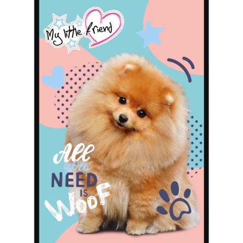 Notes (notatnik) MY LITTLE FRIEND A6 50k. Unipap